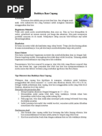 Download Budidaya_Ikan_Cupang2 by Fanofaha Ishinomori SN54176092 doc pdf