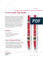 WTSP4 Liner-Top Packer: Applications