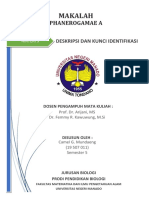 Makalah Materi 3 MK Phanerogamae - Camel G. Mundaeng