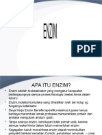 ENZIM DAN FUNGSINYA