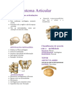 Resumo Sistema Articular