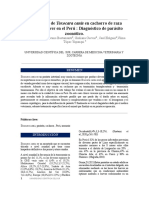 Caso Clínico TOXOCARA CANIS