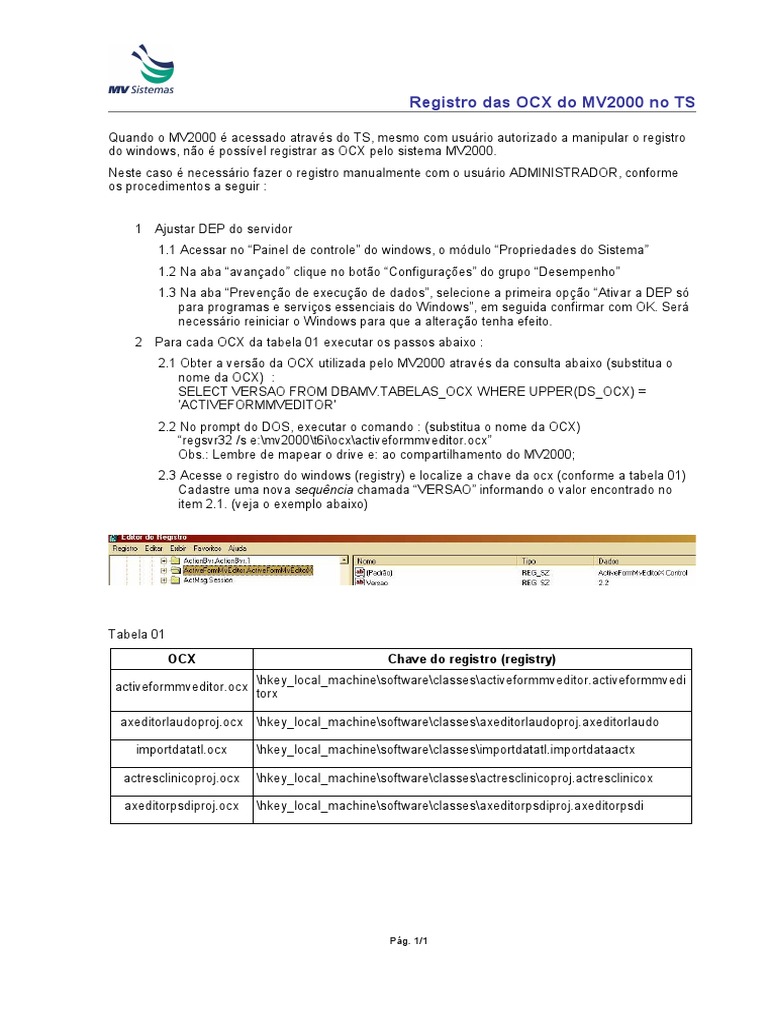 Registro Manual de OCX no MV2000 | PDF