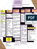 Mapa Conceptual 2