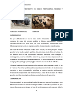 Cuidados y Mantenimiento de Cerdos Vietnamitas
