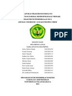 3 - Laporan Praktikum Fisiologi Pemeriksaan HCG