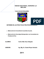 Informe de Practica Pre Profesionales do