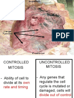 Mitosis Part2