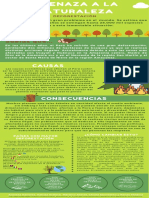 Infografía Deforestación