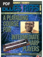 Download Vol18 Sonny Terry Blues Riffs Book by Nancy A Schoen-Ottinger SN54180818 doc pdf