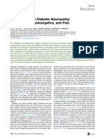 Review: New Horizons in Diabetic Neuropathy: Mechanisms, Bioenergetics, and Pain