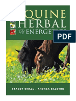 Equine Herbal and Energetics - Small Stacey
