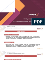 4.2.2. Patologias em Geotecnia - Patologias em Fundações Profundas - Parte II