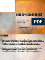 Hidropneumotoraks