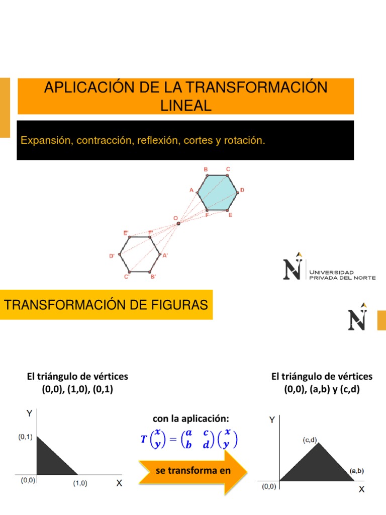 s7 - Aplicación de Las Transformaciones Lineales | PDF | Rotación ...