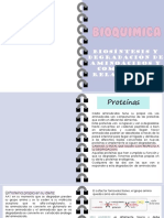 Bioquimica Apuntes