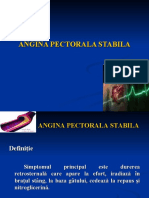 142528576 Angina Pectorala