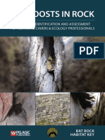 Bat Roosts in Rock - Contents and Sample Chapter