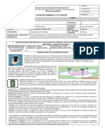 Guía 2 - Grado Séptimo 1P SV