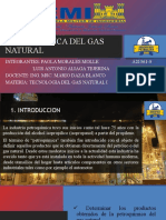 Petroquimica Del Gas Natural Original Expo