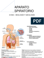 Aparato Respiratorio