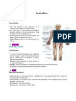 Arterias iliacas: origen, trayecto, relaciones y ramificaciones