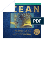 Ocean: A Photicular Book - Dan Kainen