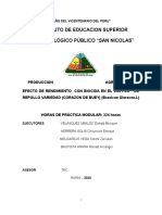 Informe Modular N 3 Ruris