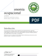 (REVISADO) Ergonomia Ocupacional