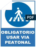 restriccion de uso pase peatonal