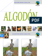 2011 Algodon Basico Web