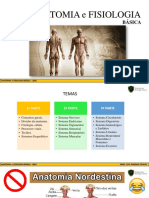 Anatomia - Sistemas Completo