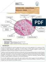 Tsa 11 Histo Pérez Daza Danae Nikoll