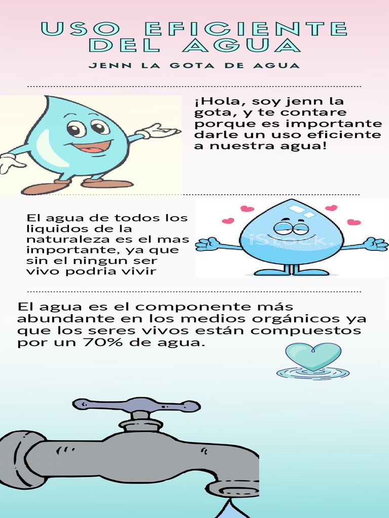 Uso Eficiente del Agua en Ecosistemas | PDF