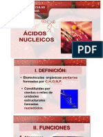 ácidos nucléicos