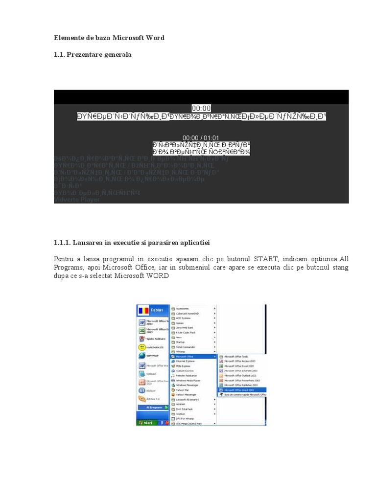 Elemente de Baza Microsoft Word | PDF