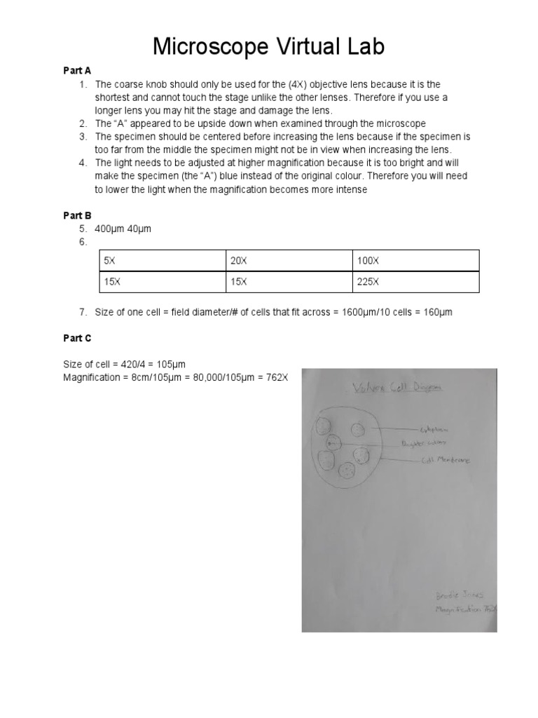Microscope Virtual Lab Part A PDF