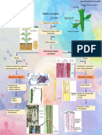 Actividad de Estructuras de Secrecion