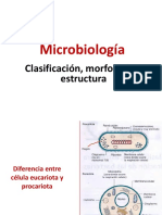 2 Estructura Celular y Clasificacion Bacteriana I 2020 UMSA