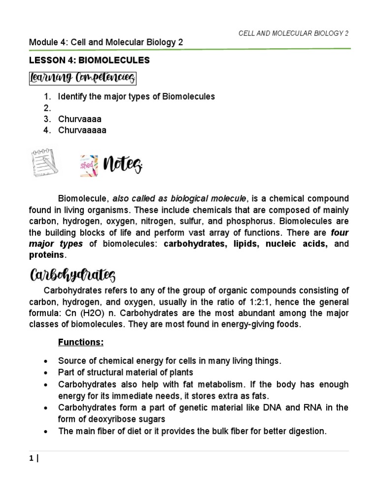 Lesson 4 Biomolecules Major Types of Biomolecules Carbohydrates