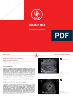 Basics of First Trimester Ultrasound in Obstetrics