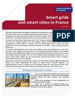 Smart Grids and Smart Cities in France