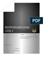 Importancia de La Responsabilidad Civil en La Republica Dominicana.