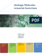SESIÓN 16.3 Transformación Bacteriana