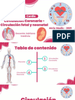 13. Circulación coronaria - circulación fetal y neonatal