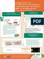 Infografia Anatomia y Fisiologia