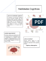 Habilidades Cognitivas