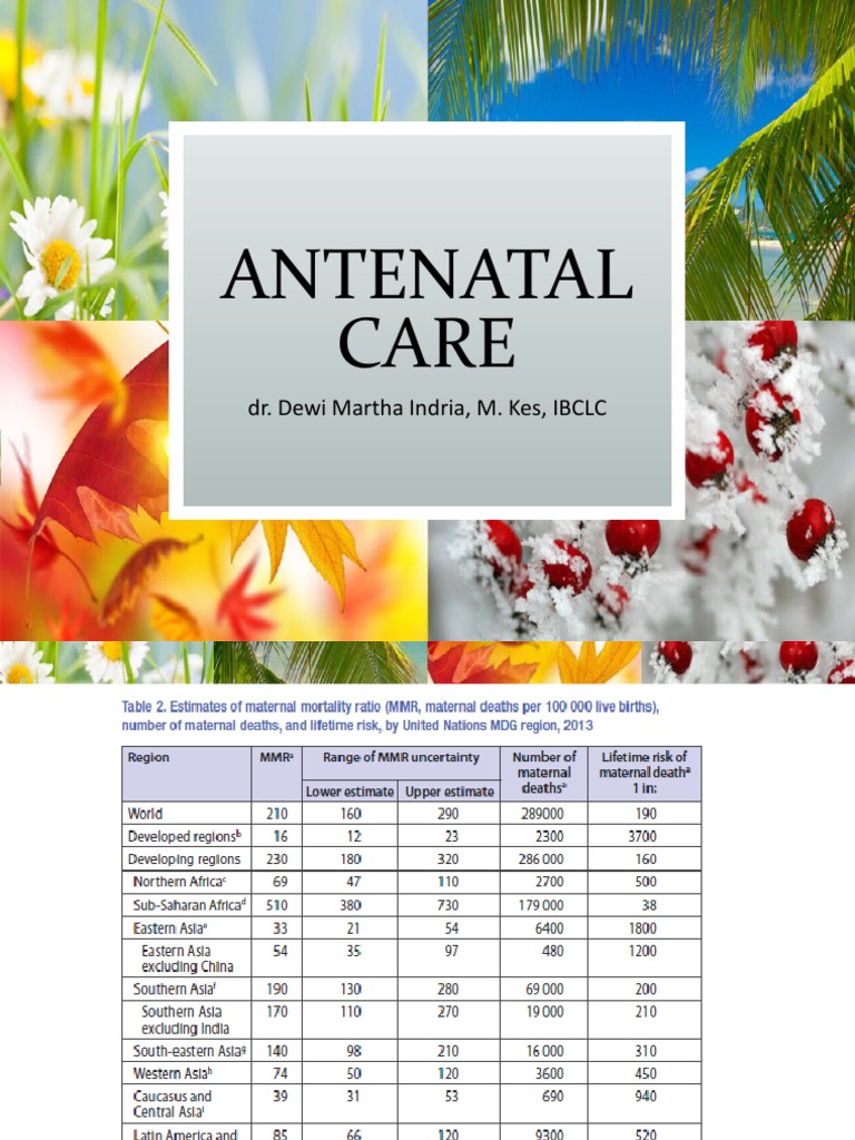 Antenatal Care Guidelines and Statistics | PDF | Pregnancy | Maternal Death