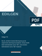 Edilgen 2