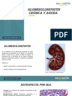 glomerulonefritis cronica y aguda